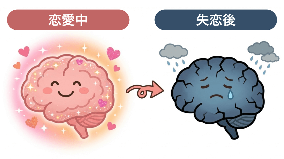 恋愛中の脳と失恋後の脳
